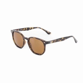 D'ARCS Cali Lifestyle Eyewear