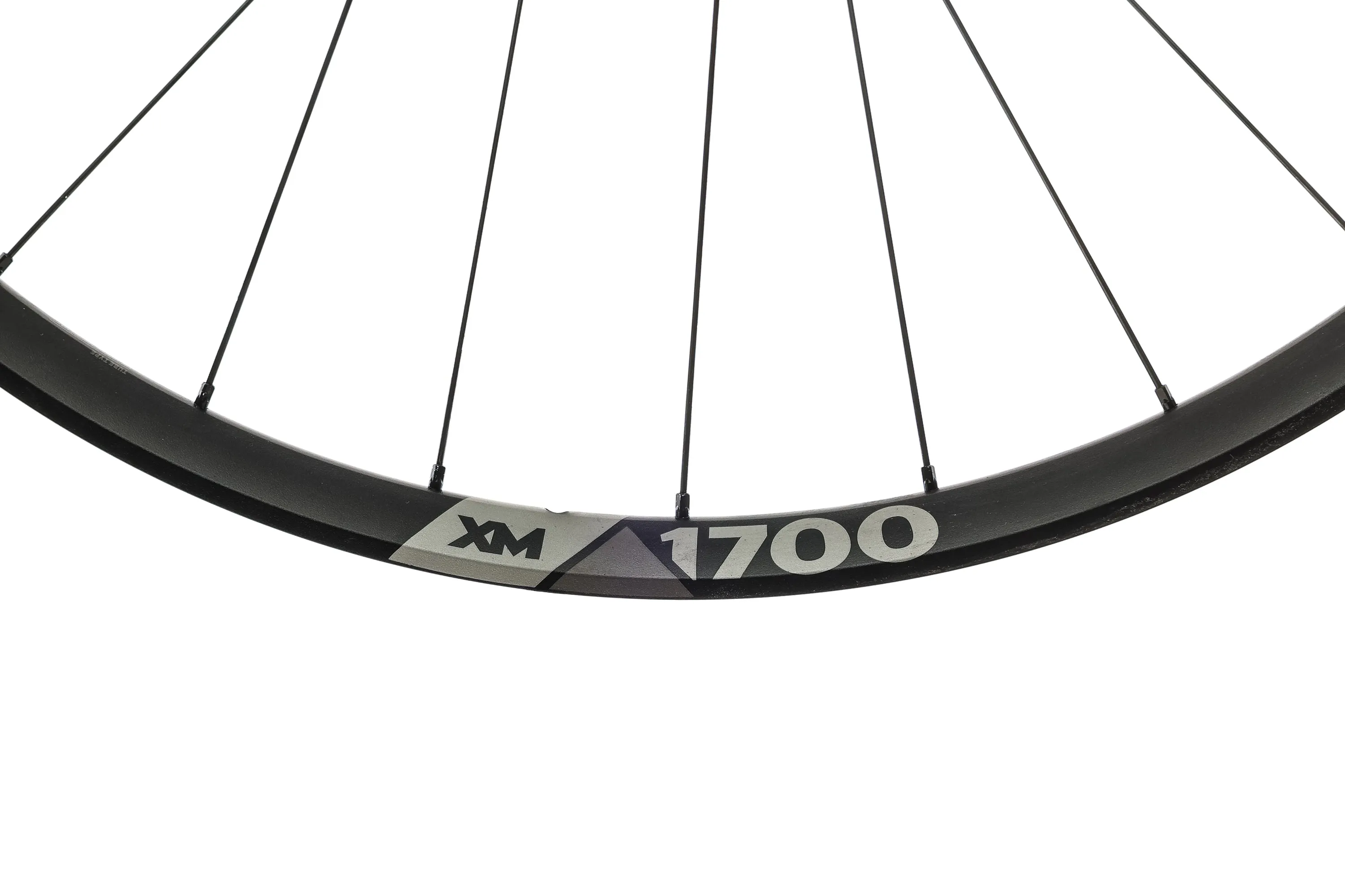 DT Swiss XM 1700 Aluminum Tubeless 29" Wheelset