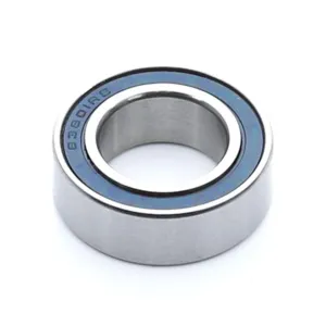 Enduro 63801 LLB Bearing