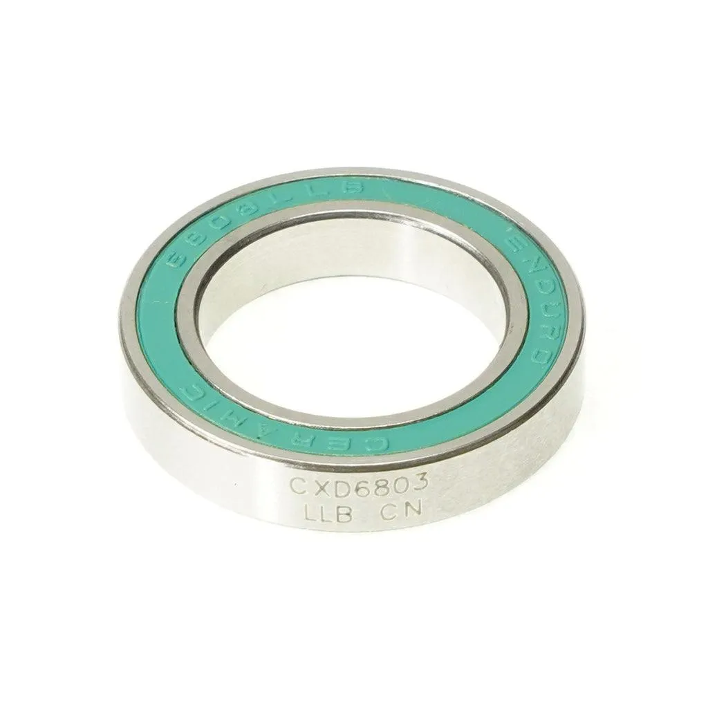 Enduro CXD 6802/6803 Radial Bearing (Silver)