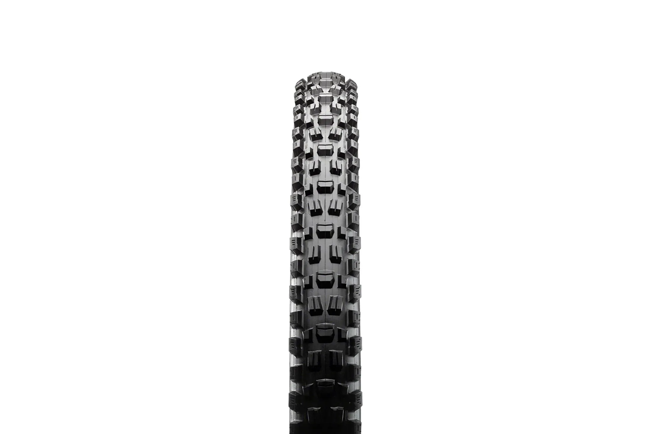 Maxxis Assegai Tire 29 x 2.5" 3C MAXX Grip Wide Trail Tubeless