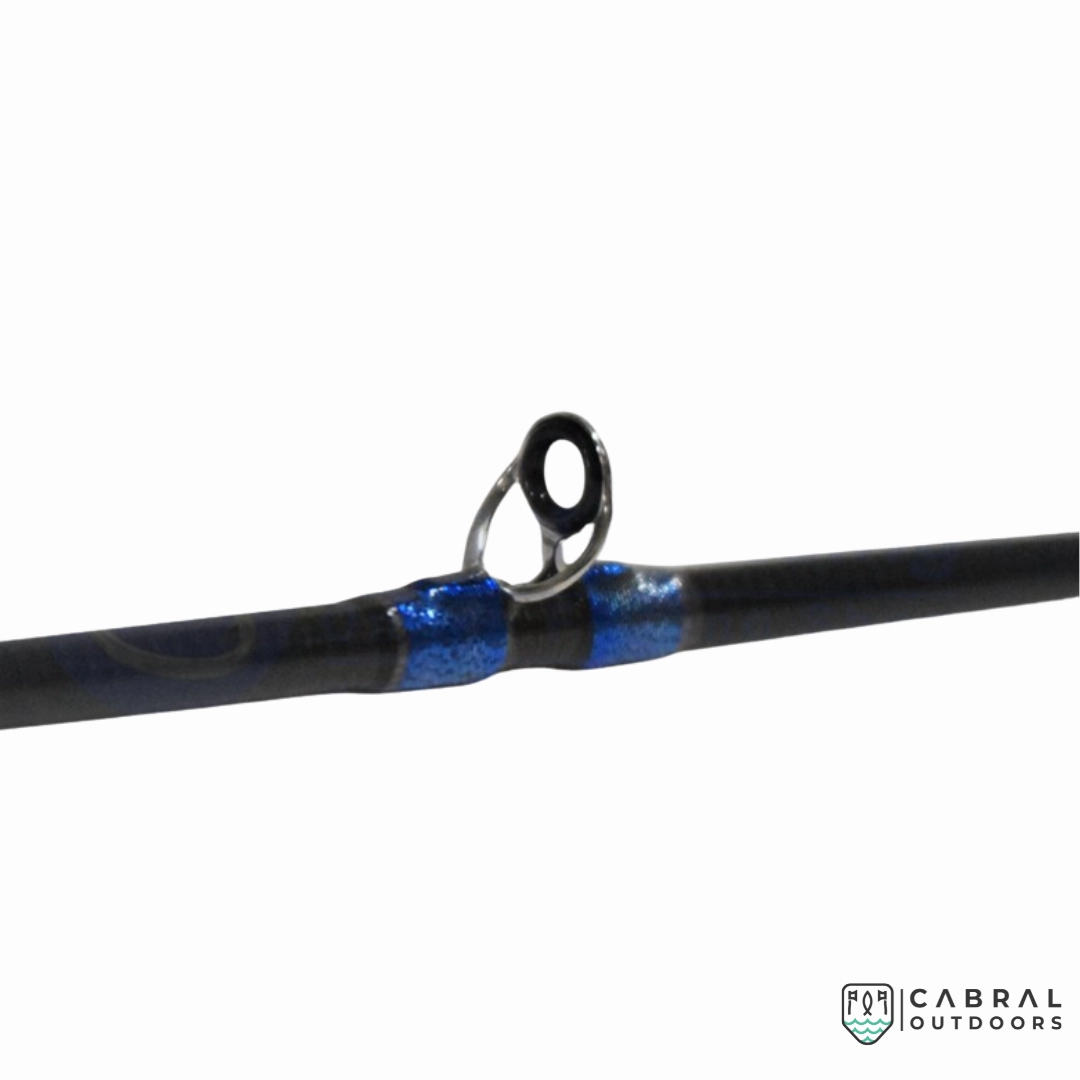 Penn Blackhawk 6ft  Baitcasting Jigging Rod