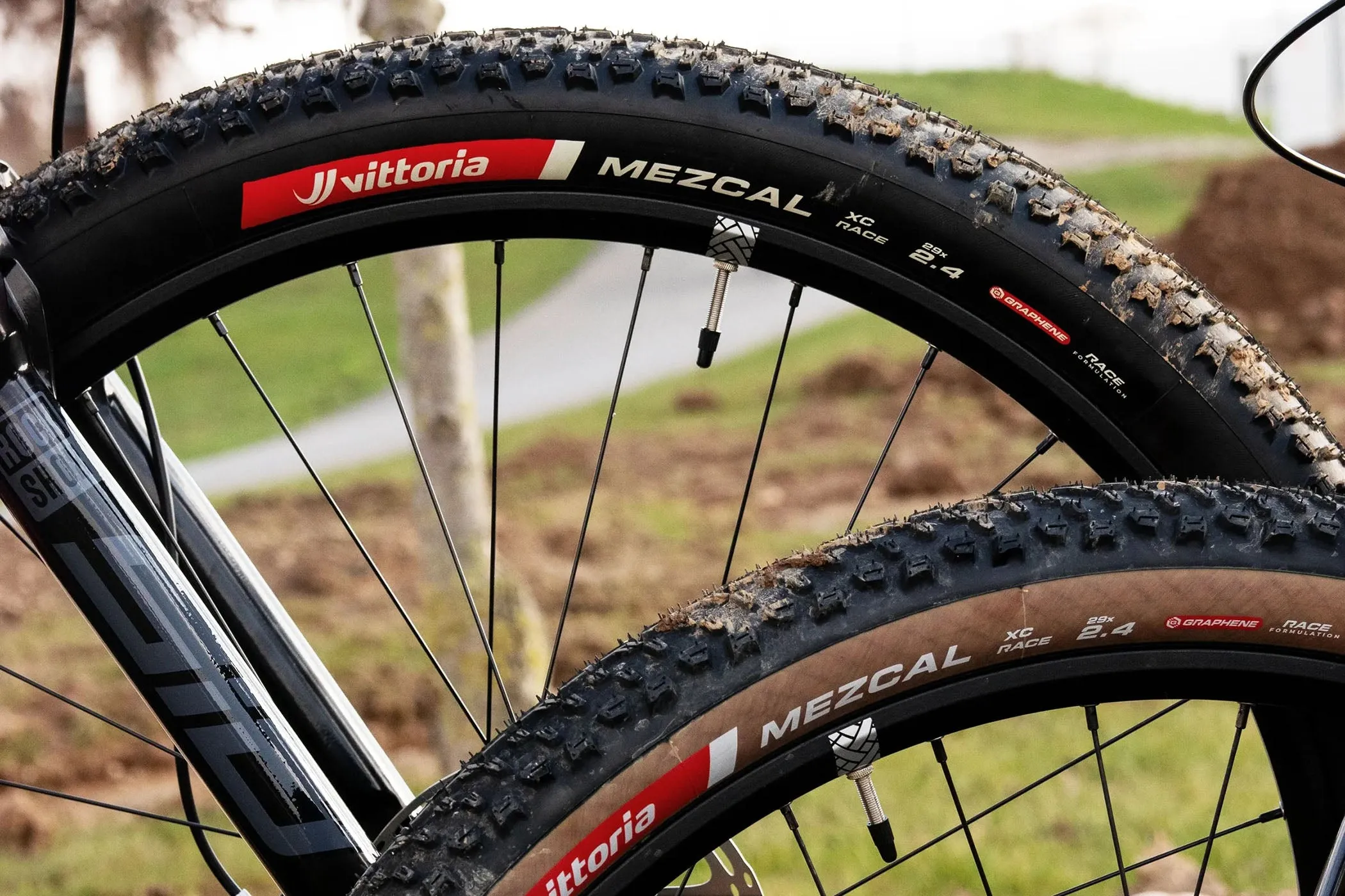 Vittoria Mezcal XC Race G2.0 Tire 29" Tubeless